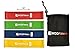 WODFitters Mini Bands - Resistance Loop Exercise Workout Fitness 4 Bands with Carry Bag - Can Be Used as Fidget Bands (10