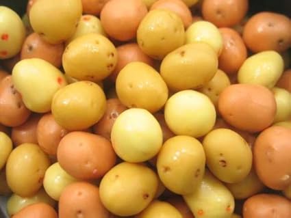 miniature dollhouse food wholesale