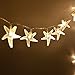 LED Fairy String Lights 11 Feet 30 LED Twinkle Lights with Remote Timer Indoor & Outdoor Used for Garden, Christmas, Party, Wedding, New Year Decorations (RGB Color Changing)