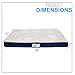 Simmons Beautyrest Thera Bed Orthopedic Memory Foam Dog Bed and Kennel / Crate Mat