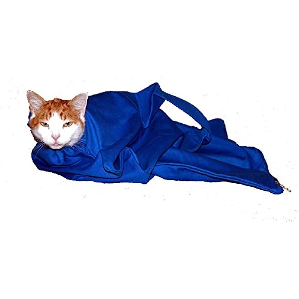 cat in the bag ez zip