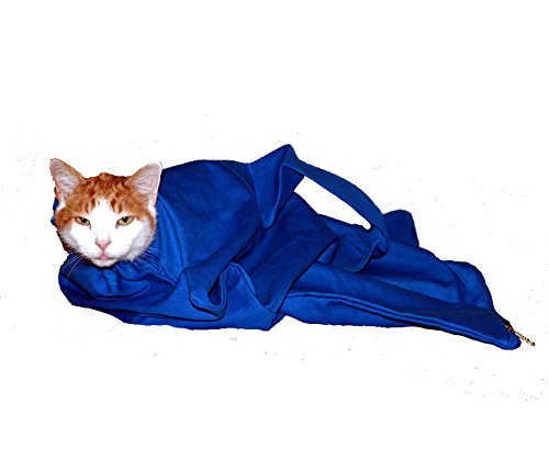 cozy comfort carrier