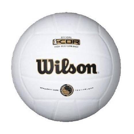 Wilson I Cor Mini Indoor Balón de Voleibol: Amazon.es: Deportes y ...