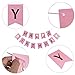Legendog Dog Birthday Party Supplies, Dog Girl or Boy Birthday Party Decorations, Dog Birthday Hat, Happy Dog Birthday Party Decorations (Pink)