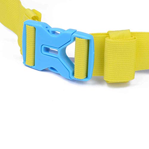 247 Viz Hydration Belt - Fits iPhone 8, X and Similar Phones - with 2 BPA Free Water Bottles and Pouch System - Running Fuel Belt & Runners Reflective Gear for High Visibility (Blue)