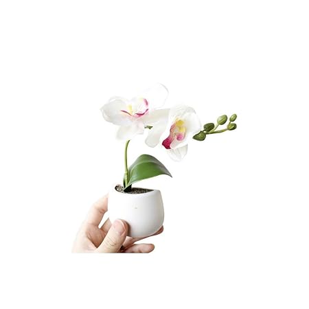 BAWANGLONG Ramo de la Flor de la Planta suculenta imán de Nevera ...