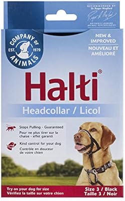 black dog head halter