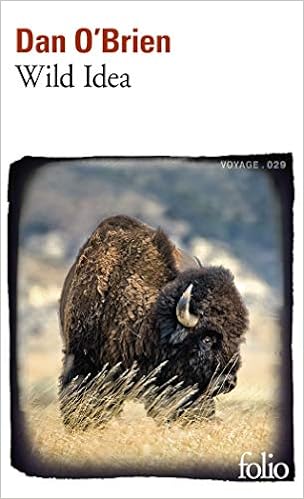 Amazonfr Wild Idea Des Bisons à La Terre Et De La Terre