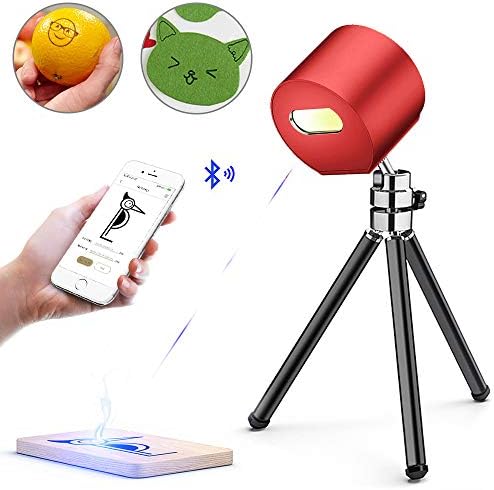 Home Laser Engraver Machine, Portable Compact Laser Engraving Etcher Handheld Mini Desktop Laser Cutter Printer with Protective Glasses for DIY Logo Design, Art Craft Science, Wood, Leather Red