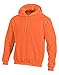 Champion Double Dry Action Fleece Pullover Hood