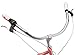 Schwinn Perla Women's Cruiser Bicycle