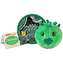 my first peter rabbit teddy