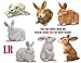 Universal Sculpture Garden Peaceful Lying Down White Garden Rabbit Statue | Super Cutie Lop Garden Bunny Statue | Bunny Statue Decorations | Garden Bunny Outdoor, 11.8