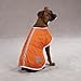 Zack & Zoey Nor'easter Blanket Coat for Dogs, 20
