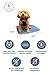 The Green Pet Shop Dog Cooling Mat - Pressure-Activated Gel Cooling Mat For Dogs, Small Size - This Pet Cooling Mat Keeps Dogs and Cats Comfortable All Summer - Ideal for Home and Travel