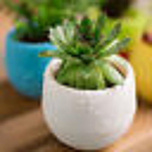 Flower Plant bucket Pot Basket, Colourful Mini Round Plastic Plant Flower Pot Garden Home Office Decor Planter By HighflyGao, (White)