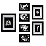 Gallery Perfect 7 Piece Black Photo Frame Wall Gallery Kit. Includes: Frames, Wall Template, Decorative Prints and Hanging Hardware