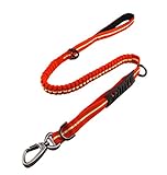MEIKAI Bungee Dog Leash Chrome Metal Lock Reflective Nylon Pet Leash with 2 Handle and 3 Multifunction D Button Great for Walking, Hiking and Training (Red)