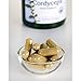 Swanson Premium Cordyceps 600 mg -- 2 Bottles each of 120 Capsules Made in USA