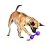 PetSafe Busy Buddy Waggle Treat-Dispensing Toy - Puppy Teething Supplies - Puzzle Toy for Food-Motivated Dogs - Relieves Anxiety & Boredom - Enrich Her Environment - Help Her Destress - Medium/Large