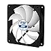 ARCTIC F12 PWM PST - 120 mm PWM PST Case Fan with PWM Sharing Technology (PST), Very quiet motor, Computer, Fan Speed: 230-1350 RPM - Black/White