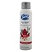 Secret Destinations Paris Romantic Rose Women's Body Spray 3.75 Ounce, Packaging May Vary