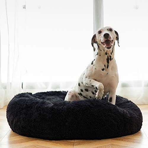 HACHIKITTY Calming Donut Cuddler Dog Bed