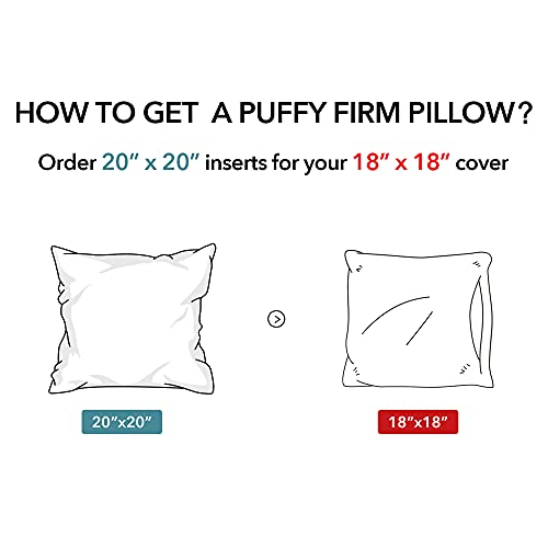 Oubonun 20 x 20 Pillow Inserts (Set of 2) Throw Pillow Inserts with