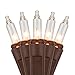 Holiday Pride Clear Christmas Lights with Brown Wire - 100 Count - Warm White Christmas Tree Lights with Brown Cord (22.5 Ft) - Indoor/Outdoor Use - UL Listed - Static & Blinking Modes