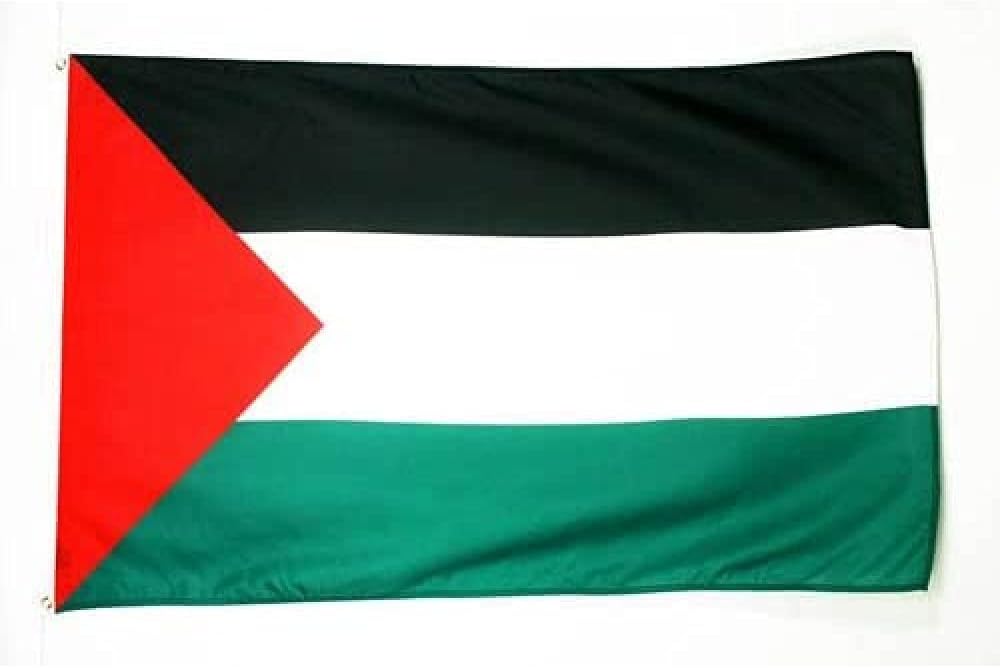 Flags - AZ FLAG Palestine Flag 2' x 3' - Palestinian Flags 60 x 90 cm - Banner 2x3 ft