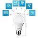 SANSUN 8W A19 LED Light Bulbs, 4000K Daylight White, Non-Dimmable, 6-Pack