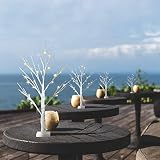 Eambrite Set of 2 Small Birch Twig Tree Lights 60cm Battery Operated view 8
