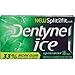 Dentyne Ice Spearmint Sugar Free Gum - 9 Packs of 16 Pieces!