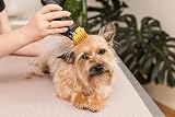 Wahl Colour Pro Rechargeable Pet Clipper 120 Min Run Time 8 Colour Combs view 7