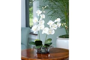 Petals Silkflowers Cream White Phalaenopsis Silk Orchid - 15" W x 24" H x 1.5" D, Realistic Style, 1 Count