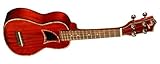 NEW EDDY FINN UKE EF-20 ALL SOLID MAHOGANY CONCERT SIZE HAWAIIAN FOLK UKULELE
