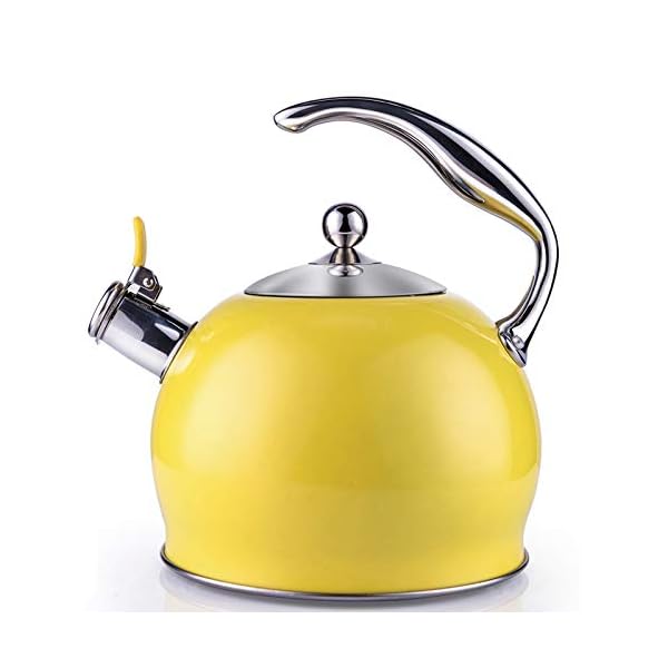 Tea Kettle Best 3 Liter induction Modern Stainless Steel Surgical