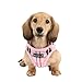 Puppia Authentic Junior Harness B, Large, Pink