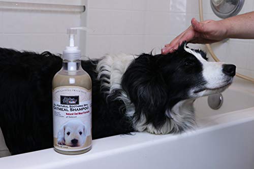 Alpha Dog Series All Natural Anti Itch Oatmeal Shampoo + Conditioner for Dogs | Hypoallergenic Soothing Relief for Dry, Itchy, Bitten or Allergy Damaged Skin (Pack of 2) - Thumbnail 4