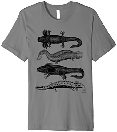 Mens Salamander T-Shirt - Amphibian Reptile Herpetology Science XL Slate