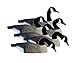 Higdon Outdoors Full-Size Half Shell Canada Goose Decoys for Waterfowl Hunting | 6pk