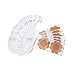 12 x Nipple Pasties Nippleless Cover & 12 x Bra Lift Tape Adhesive Disposable