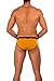 Lumber Collection - AnatoFREE Hipster Brief - Old Gold - Xlarge