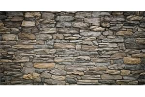 GOTLOS Stone Decor Aquarium Background, Nature Stone Fish Tank Background, Natural Rocky Glass Terrarium Background 24X16IN with 10 EVA Double-Sided Tape