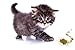 Cat Crack Catnip, Zoomie-Inducing Cat Nip Blend, North American Made & 100% Natural, Safe & Non-Addictive Catnip Treats Used to Supplement Cat Nip Toys, Spray, & Accessories (4 Cups)