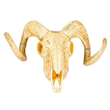 New Decorative Animal Skull Ca 28x36 Cm Plastic Amazon Co Uk