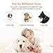 REGIROCK 2018 Upgrade Version Barking Control Collar, Rechargeable and Rainproof No Bark Collar Sound, Vibration Static Shock 7 Levels Sensitivity Small Medium Large Dogthumb 4