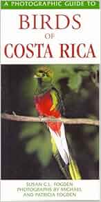 Photographic Guide To The Birds Of Costa Rica Susan C L
