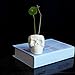 1 PCS Ceramic Plant Pot, Resin Succulent Plant Container Flower Pot Planter for Gardenthumb 2