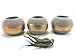 ORB Concrete Succulent Planters / Air Plant Holders (Set of 3) GOLD.